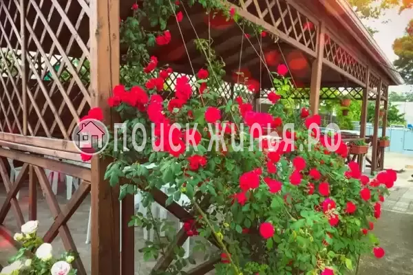 Частный сектор «Частный дом на Тельмана», Краснодарский край, Геленджик, Тельмана, д.40