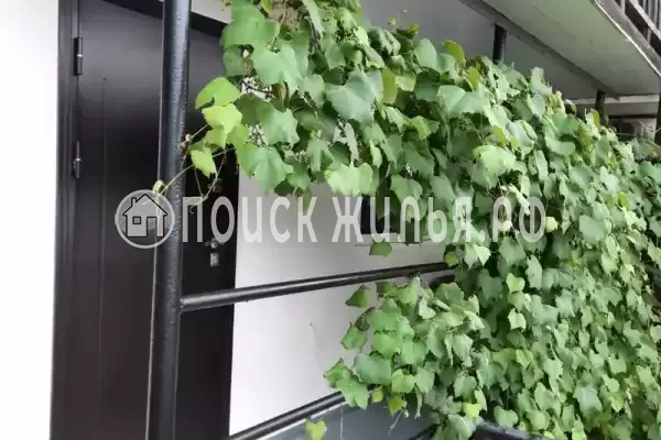 Частный сектор «Сусанна», Республика Абхазия, Гагра, 5-й тупик, д.12 Частный сектор «Сусанна», Республика Абхазия, Гагра, 5-й тупик, д.12