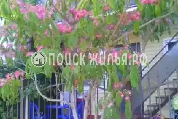 «Таманская 11», Голубицкая «Таманская 11», Голубицкая