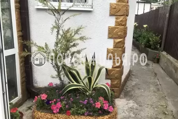 Гостевой дом «Анжелина», Гагра