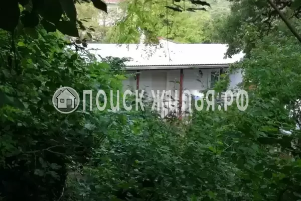 «Акация», Бетта «Акация», Бетта