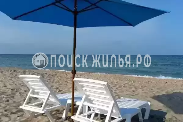 «Дачи удачи», Поповка «Дачи удачи», Поповка