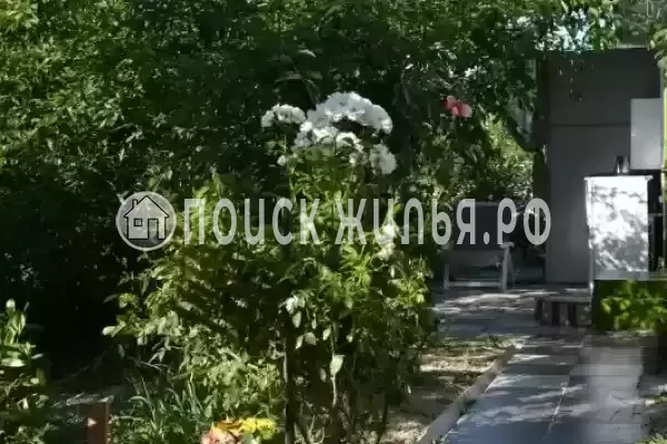 «Яна», Сукко