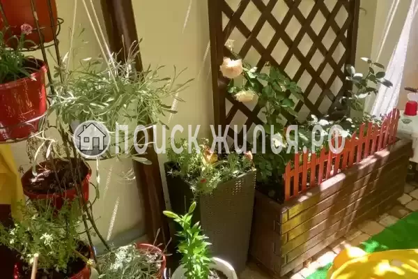 Черноморская, д.4, Дивноморское