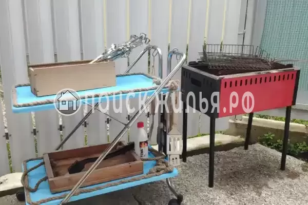 «На Лесной», Шепси