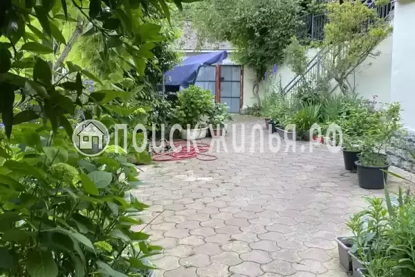 «Апельсин», Лазаревское «Апельсин», Лазаревское