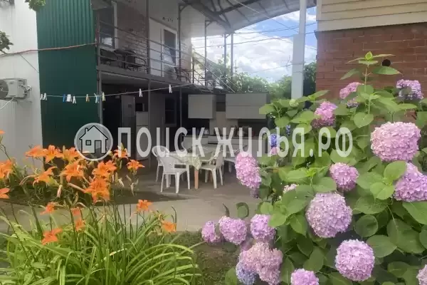 «Трия», Головинка