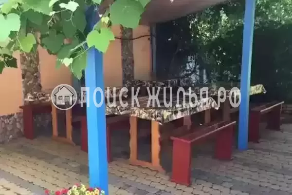 «В Кринице», Криница