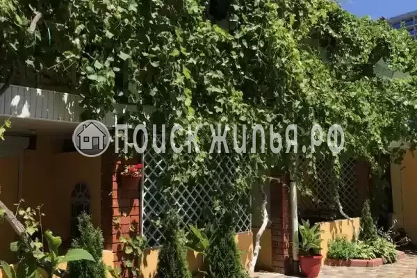 «Фламинго», Ольгинка «Фламинго», Ольгинка