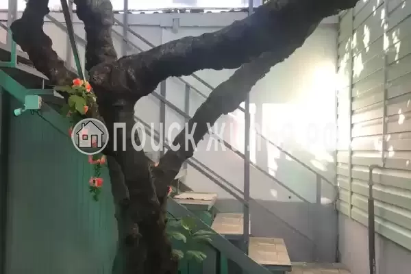 «На Греческой», Макопсе