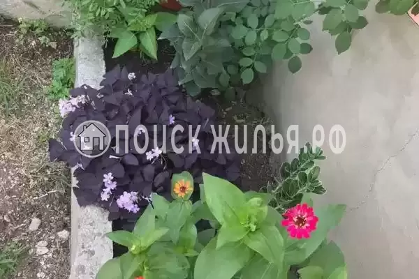 Частный сектор «У Ребеки», Псырцха