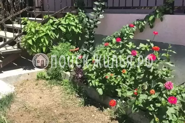 Частный сектор «У Ребеки», Псырцха