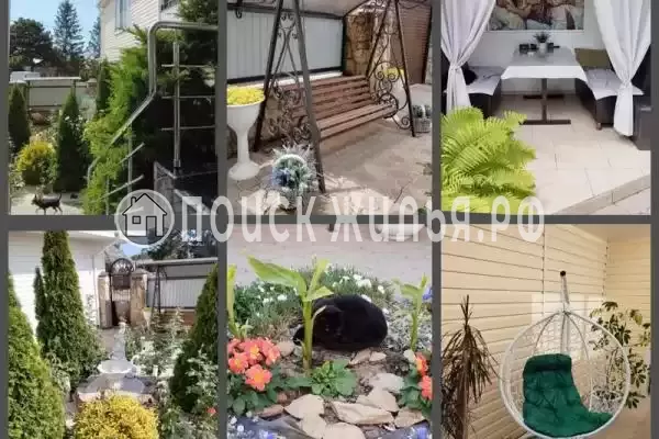 «Виола», Благовещенская