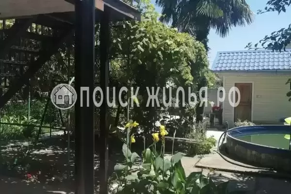 «Пальмира», Вишневка «Пальмира», Вишневка