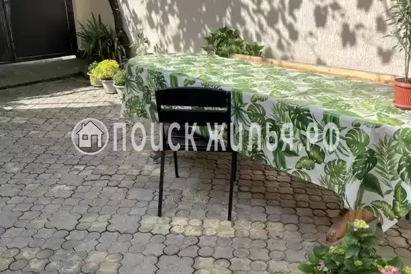 «На Гоголя», Адлер