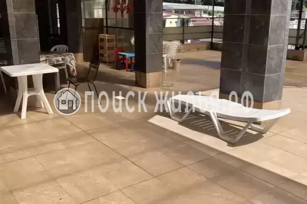 «Семейный», Солоники