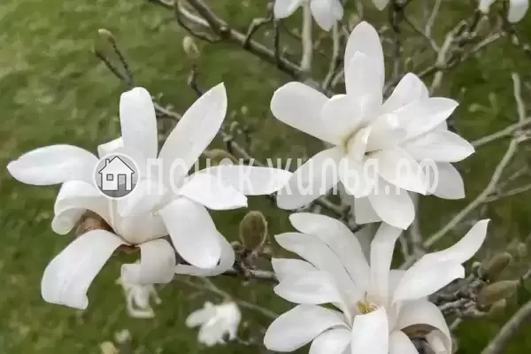 Гостевой дом «Геленджикский дворик», Геленджик