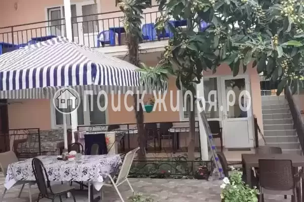 «Star», Адлер