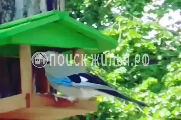 «Монт», Геленджик «Монт», Геленджик