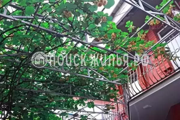 «Аметист», Лазаревское