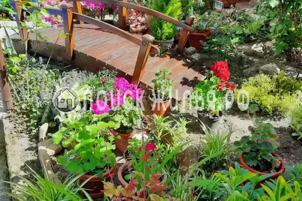 «На Полевой», Сириус