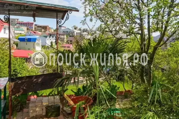 «Анастасия», Адлер