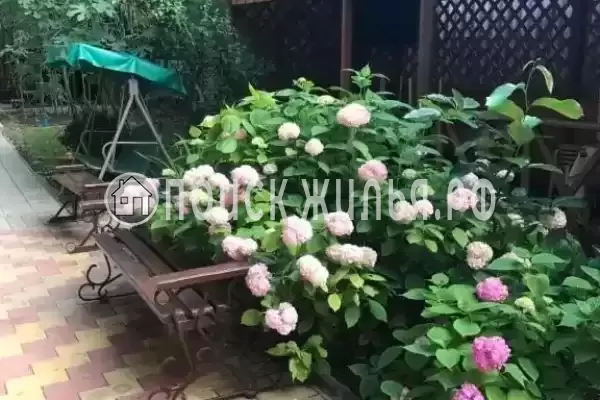 «Светлана», Лазаревское