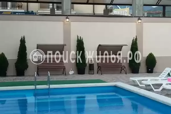 «Феникс», Лазаревское