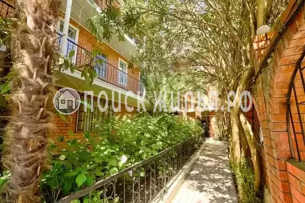 «Лазурный», Головинка