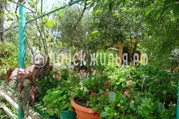 Гостевой дом «У Гарика», Псырцха