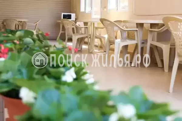 «Афалина», Адлер «Афалина», Адлер