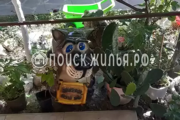 «Никита», Пятихатки