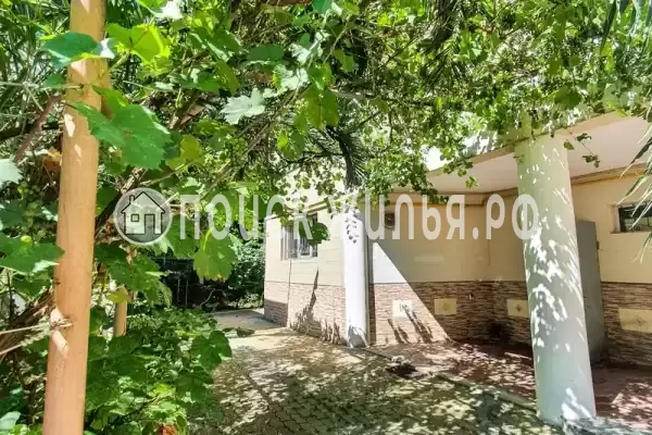 «У Татьяны», Хоста «У Татьяны», Хоста