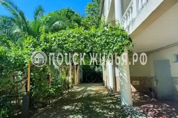 «У Татьяны», Хоста «У Татьяны», Хоста