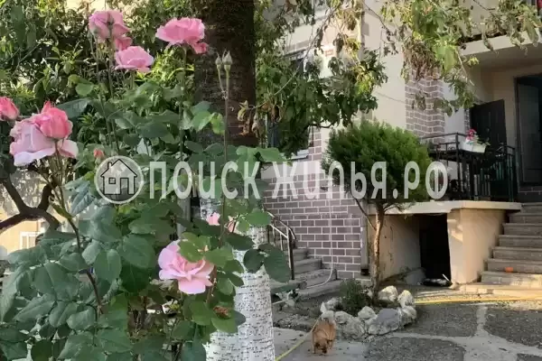 Частный сектор «На Званба», Гагра Частный сектор «На Званба», Гагра