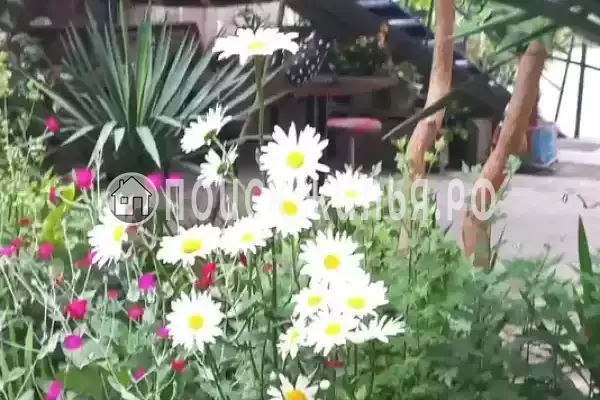 Гостевой дом «Старая Гагра», Гагра