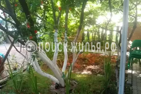 «На Красногвардейской», Геленджик