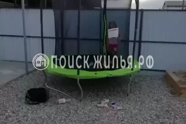 «Софийка», Голубицкая «Софийка», Голубицкая