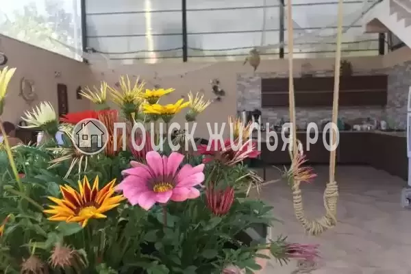 Гостиница «Кукушкино гнездо», Цандрипш