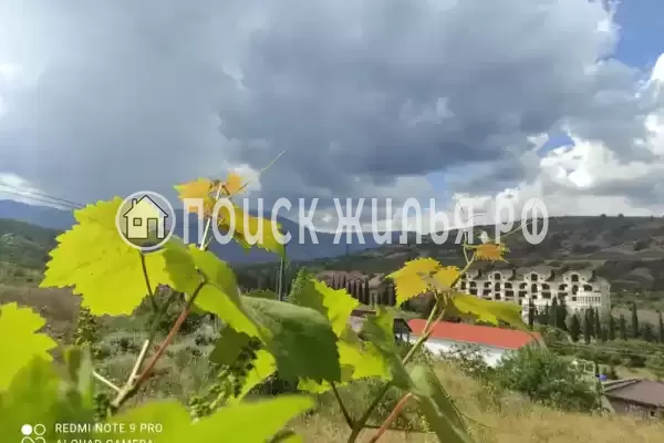 «Велиза», Алушта «Велиза», Алушта