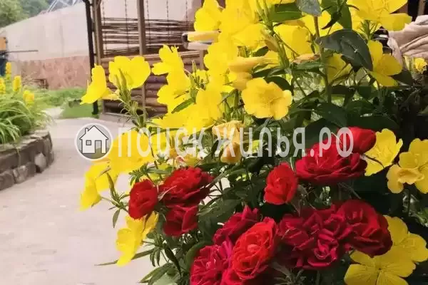 Частный сектор «Как на даче», Архипо-Осиповка