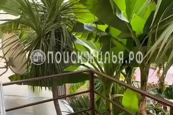 «У Лёвы», Адлер «У Лёвы», Адлер