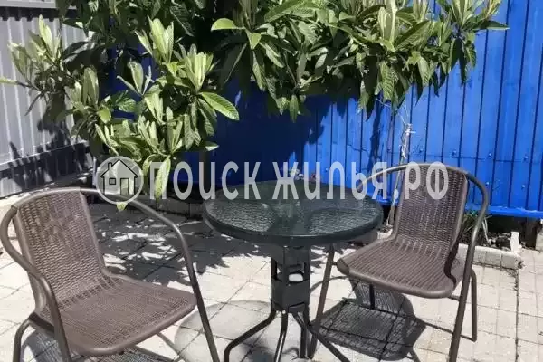 «Бамбуковый рай», Агой «Бамбуковый рай», Агой