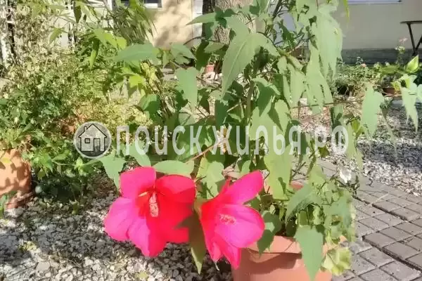 «Тихая гавань», Кабардинка