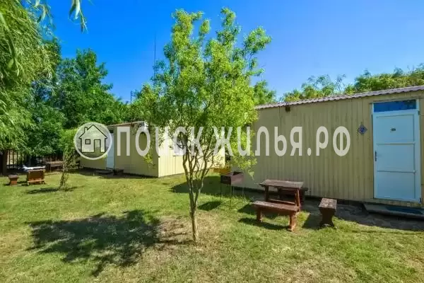 «Южная пальмира», Голубицкая