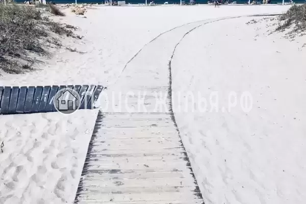 «Соната», Оленевка