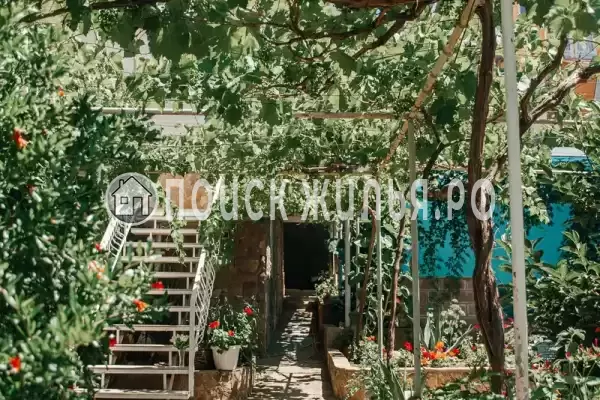 «Шанс», Судак