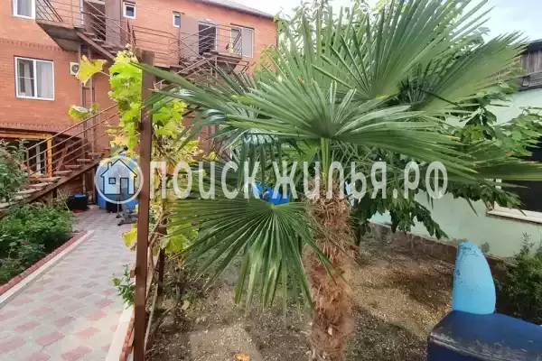 «Центральный», Геленджик