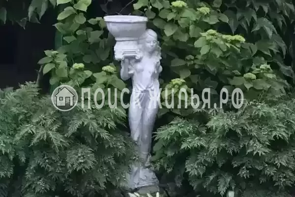 «Дельфин», Джубга