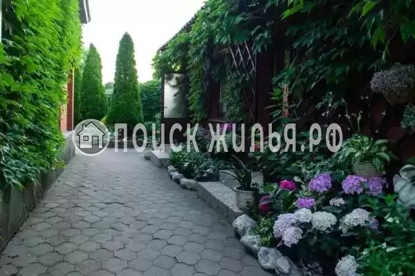 «Дельфин», Джубга